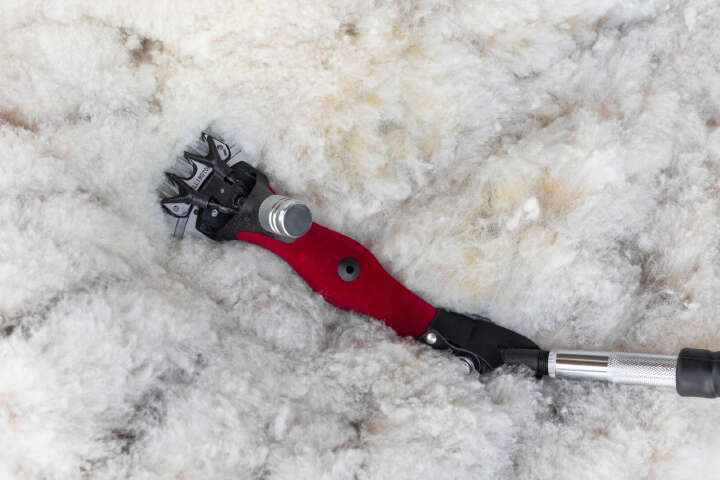 KERBL Wellington Schafschuranlage Worm-Drive